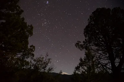 DSC_1109 (Large).JPG